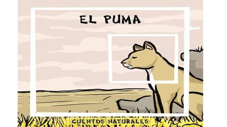 En la sierra peruana, vive Lalo, el puma dorado, él tiene un pequeño hijo, llamado Poli, le está enseñando a cazar su comida.