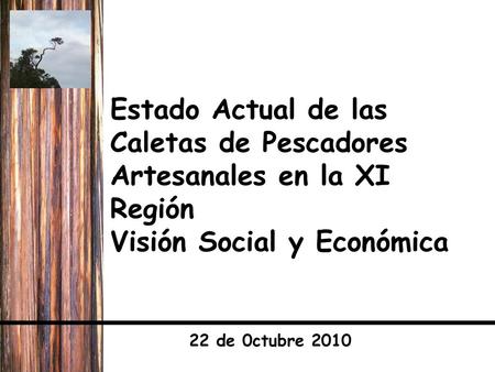 Estado Actual de las Caletas de Pescadores Artesanales en la XI Región Visión Social y Económica 22 de 0ctubre 2010.