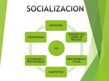 INVITACION REUNIÓN CON LIDERES DE PROCESO PROCEDIMIENTO Y PLAN COMITÉ PESV ACTIVIDADES Y RESPONSABLES CRONOGRAMA GG.