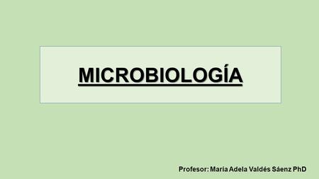 MICROBIOLOGÍA Profesor: María Adela Valdés Sáenz PhD.