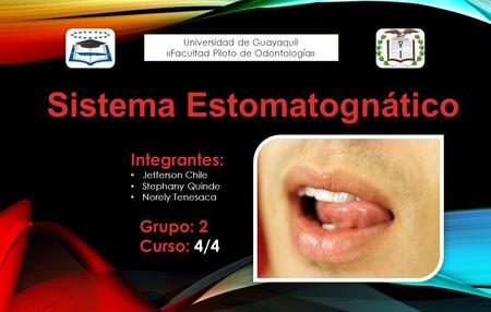 Universidad de Guayaquil «Facultad Piloto de Odontología» Integrantes: Jefferson Chile Stephany Quinde Norely Tenesaca Grupo: 2 Curso: 4/4 Sistema Estomatognático.