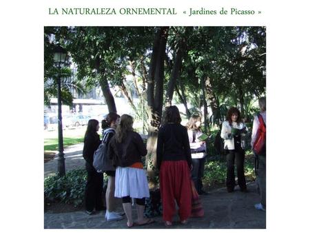 LA NATURALEZA ORNEMENTAL « Jardines de Picasso »
