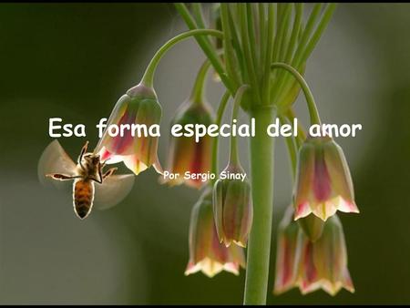 Esa forma especial del amor