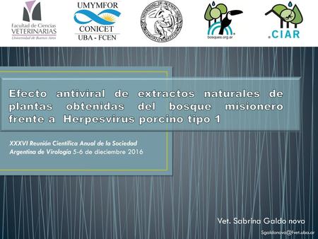 UMYMFOR ZZZ CONICET UBA - FCEN