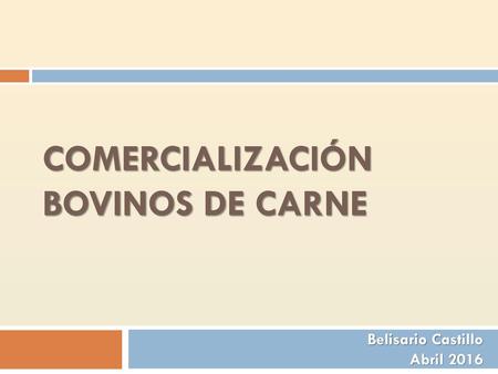 Comercialización bovinos de carne