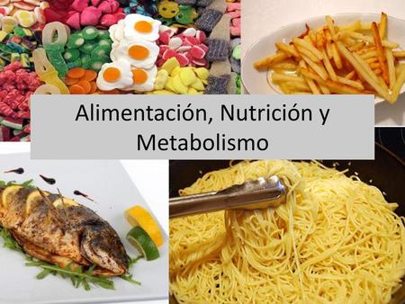 Alimentación, Nutrición y Metabolismo