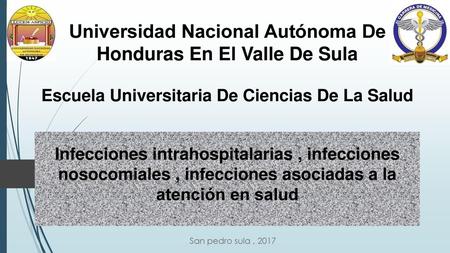 Universidad Nacional Autónoma De Honduras En El Valle De Sula Escuela Universitaria De Ciencias De La Salud Infecciones intrahospitalarias , infecciones.