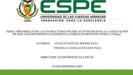 AUTORES: AÑAZCO CHÁVEZ JOFFRE PAÚL VINUEZA CASTILLO NELSON PAÚL