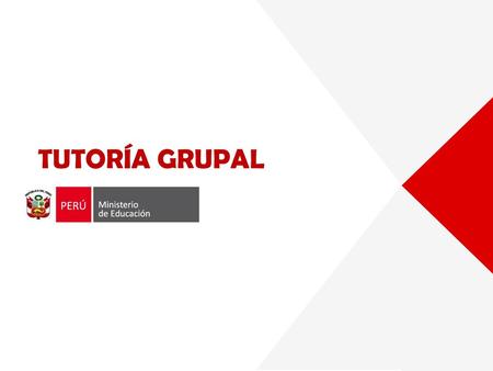 TUTORÍA GRUPAL.