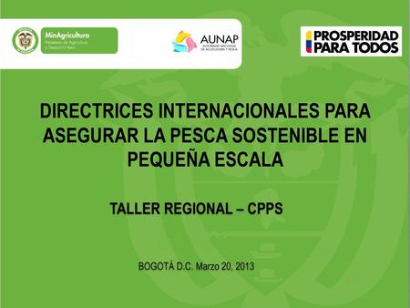 DIRECTRICES INTERNACIONALES PARA ASEGURAR LA PESCA SOSTENIBLE EN PEQUEÑA ESCALA TALLER REGIONAL – CPPS BOGOTÁ D.C. Marzo 20, 2013.
