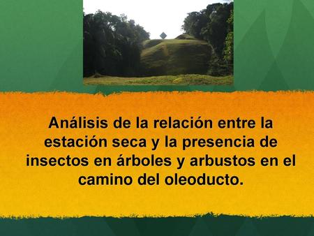 Análisis de la relación entre la estación seca y la presencia de insectos en árboles y arbustos en el camino del oleoducto. Santi.