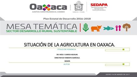 SITUACIÓN DE LA AGRICULTURA EN OAXACA.