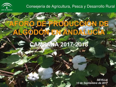 Consejería de Agricultura, Pesca y Desarrollo Rural