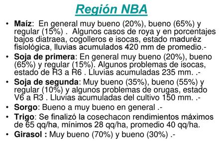 Región NBA Maíz: En general muy bueno (20%), bueno (65%) y regular (15%) . Algunos casos de roya y en porcentajes bajos diatraea, cogolleros e isocas,