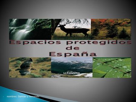 Espacios protegidos de España