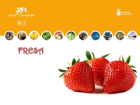 FRESA.