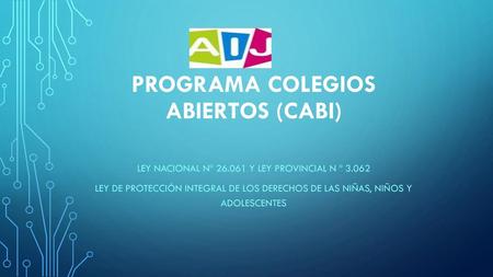 PROGRAMA COLEGIOS ABIERTOS (CABI)