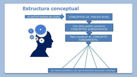 Estructura conceptual