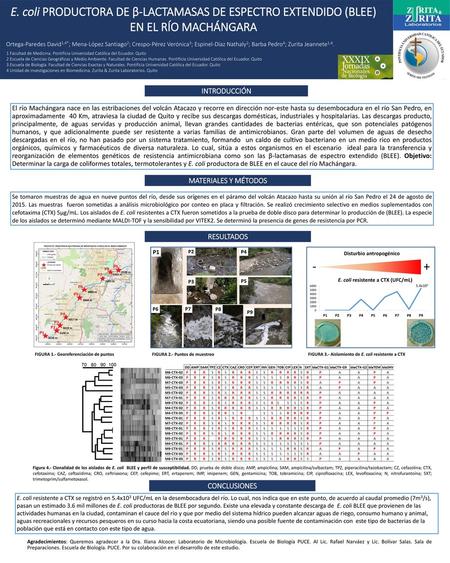 E. coli PRODUCTORA DE β-LACTAMASAS DE ESPECTRO EXTENDIDO (BLEE) EN EL RÍO MACHÁNGARA Ortega-Paredes David1,4*; Mena-López Santiago2; Crespo-Pérez Verónica3;