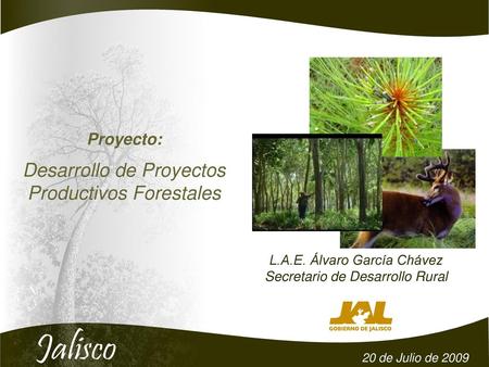Desarrollo de Proyectos Productivos Forestales