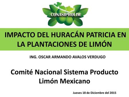 IMPACTO DEL HURACÁN PATRICIA EN LA PLANTACIONES DE LIMÓN