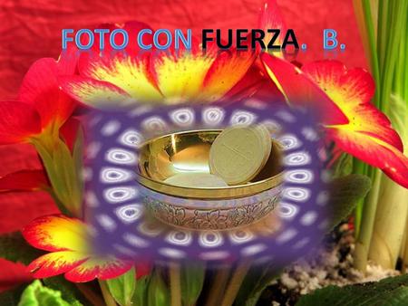 Foto CON FUERZA. B..