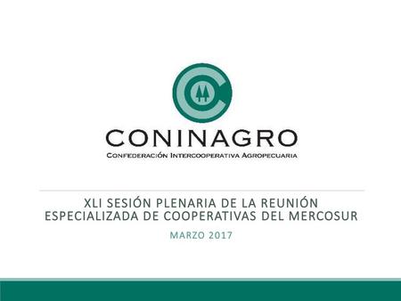 XLI Sesión Plenaria de La Reunión Especializada de Cooperativas del MERCOSUR MARZO 2017.