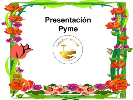 Presentación Pyme.