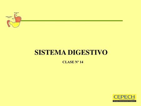 SISTEMA DIGESTIVO CLASE Nº 14
