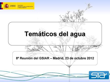 8ª Reunión del GSIAR – Madrid, 23 de octubre 2012