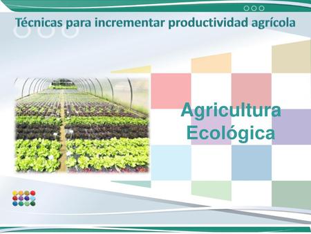 Técnicas para incrementar productividad agrícola Agricultura Ecológica