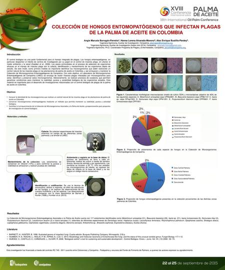 COLECCIÓN DE HONGOS ENTOMOPATÓGENOS QUE INFECTAN PLAGAS DE LA PALMA DE ACEITE EN COLOMBIA Angie Marcela Barragán-Ferreira1; Hanna Lorena Alvarado-Moreno2;