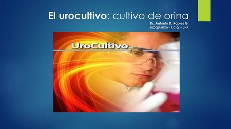 Es una prueba para el diagnóstico de infecciones del tracto urinario (ITU), que identifica la presencia de bacterias Tener en cuenta que no siempre la.