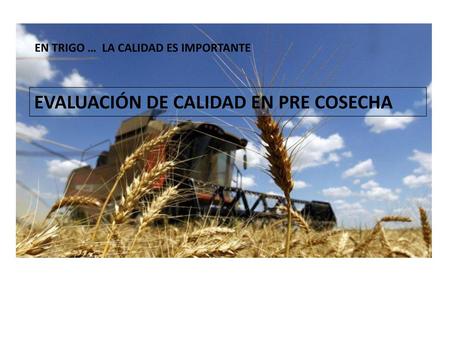 EVALUACIÓN DE CALIDAD EN PRE COSECHA
