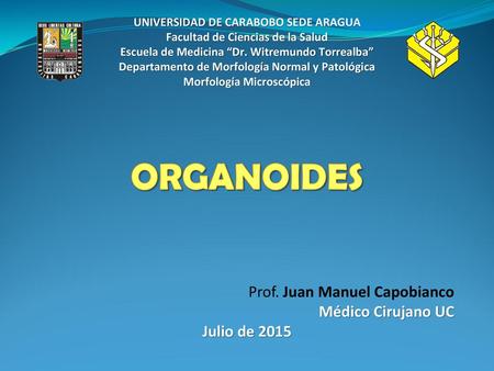 ORGANOIDES Prof. Juan Manuel Capobianco Médico Cirujano UC