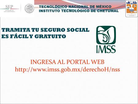 TECNOLÓGICO NACIONAL DE MÉXICO INSTITUTO TECNOLÓGICO DE CHETUMAL