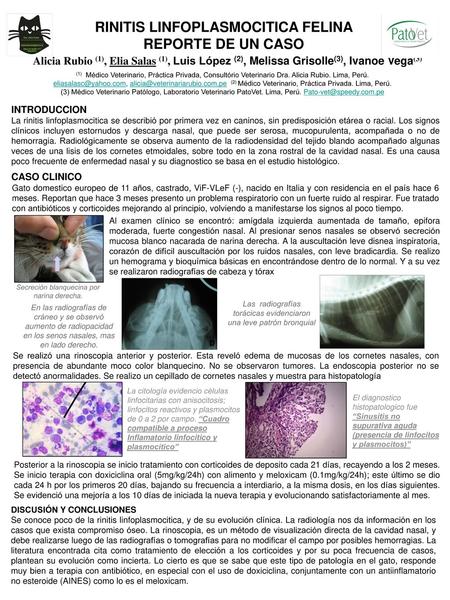 RINITIS LINFOPLASMOCITICA FELINA