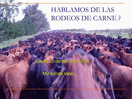 HABLAMOS DE LAS RODEOS DE CARNE ?