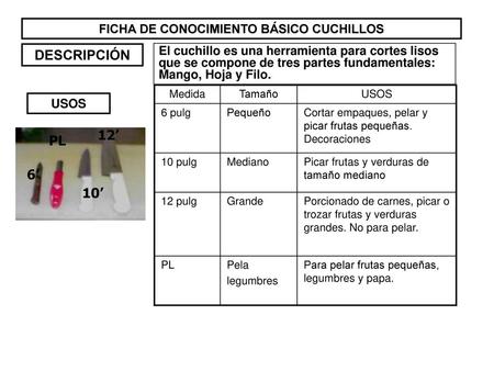 FICHA DE CONOCIMIENTO BÁSICO CUCHILLOS