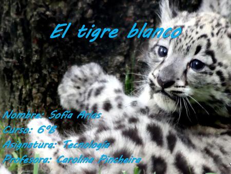 El tigre blanco Nombre: Sofía Arias Curso: 6ºB Asignatura: Tecnología