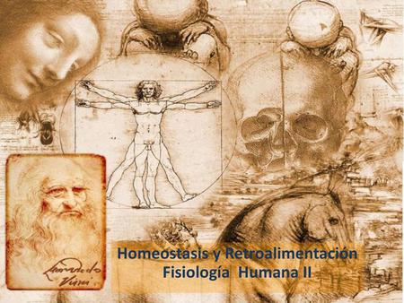 Homeostasis y Retroalimentación Fisiología Humana II