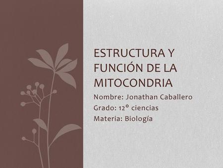 Estructura y función de la mitocondria