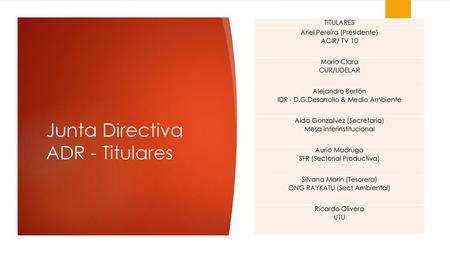 Junta Directiva ADR - Titulares
