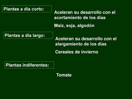 Plantas a día corto: Aceleran su desarrollo con el acortamiento de los días Maíz, soja, algodón Plantas a día largo: Aceleran su desarrollo con el alargamiento.