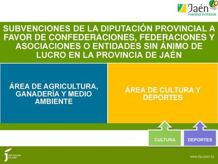 SUBVENCIONES DE LA DIPUTACIÓN PROVINCIAL A FAVOR DE CONFEDERACIONES, FEDERACIONES Y ASOCIACIONES O ENTIDADES SIN ÁNIMO DE LUCRO EN LA PROVINCIA DE JAÉN.