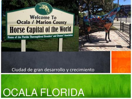 OCALA FLORIDA Ciudad de gran desarrollo y crecimiento