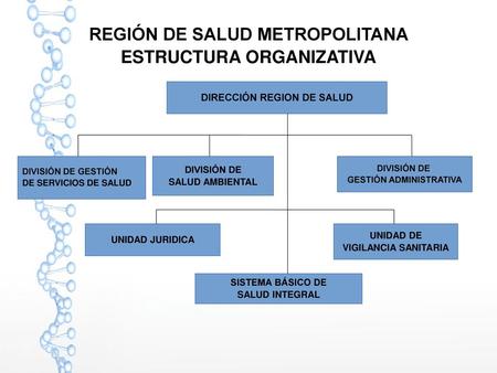 REGIÓN DE SALUD METROPOLITANA ESTRUCTURA ORGANIZATIVA