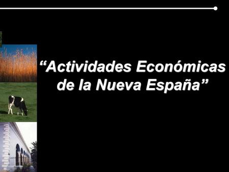 “Actividades Económicas de la Nueva España”