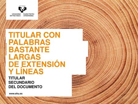 TITULAR CON PALABRAS BASTANTE LARGAS DE EXTENSIÓN Y LÍNEAS