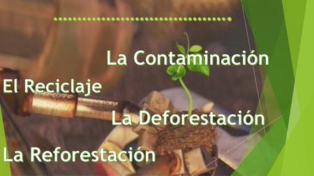 La Contaminación La Deforestación La Reforestación El Reciclaje